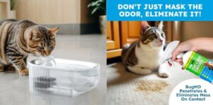 מזרקת מים אוטומטית לחיית מחמד