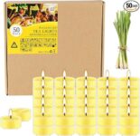 נר צינטרונלה דוחה יתושים 50 יחידות